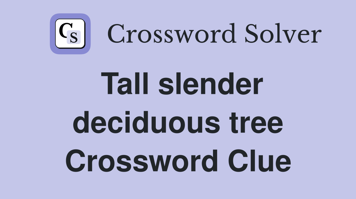 Tall slender deciduous tree Crossword Clue Answers Crossword Solver